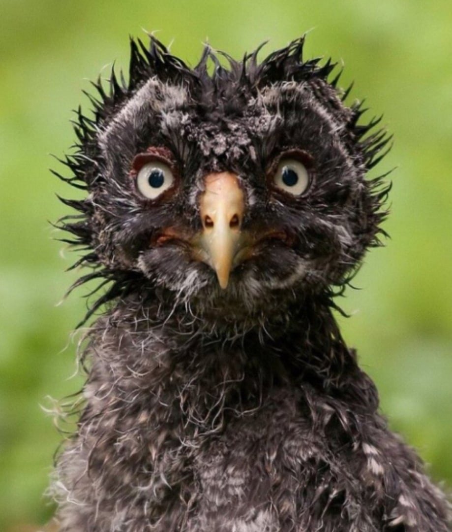 Открытка хорошей недели мужчине