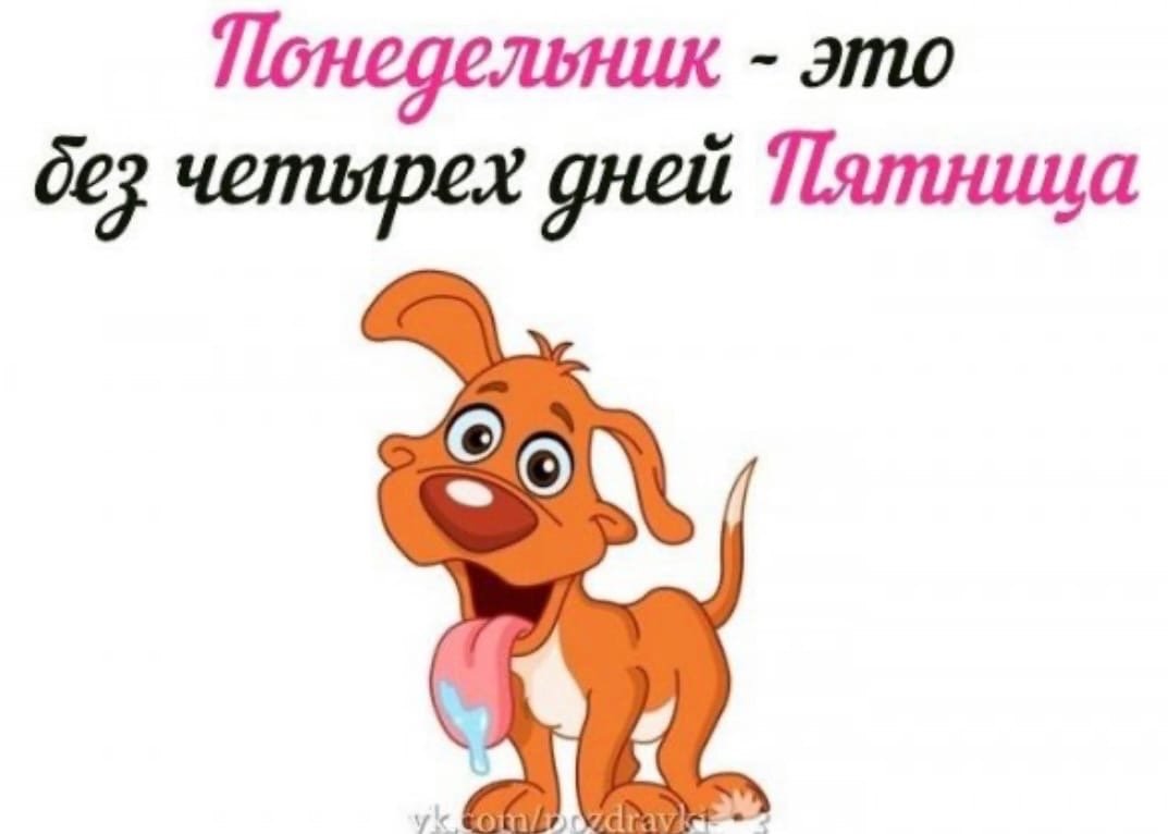 Понедельник картинки юмор
