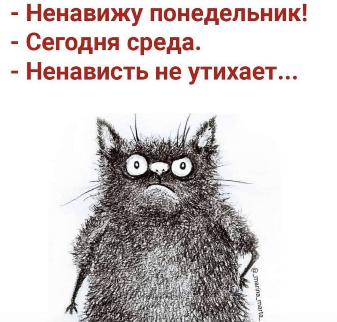 Ненавижу понедельник сегодня вторник ненависть не утихает картинка