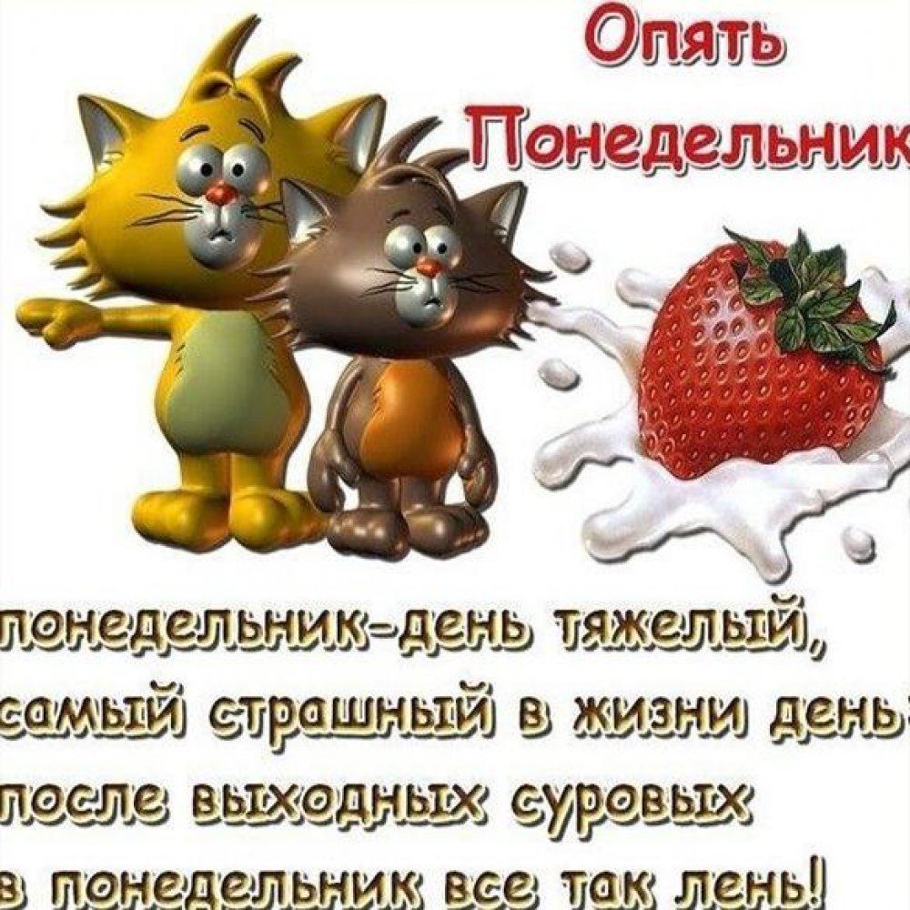 И снова понедельник