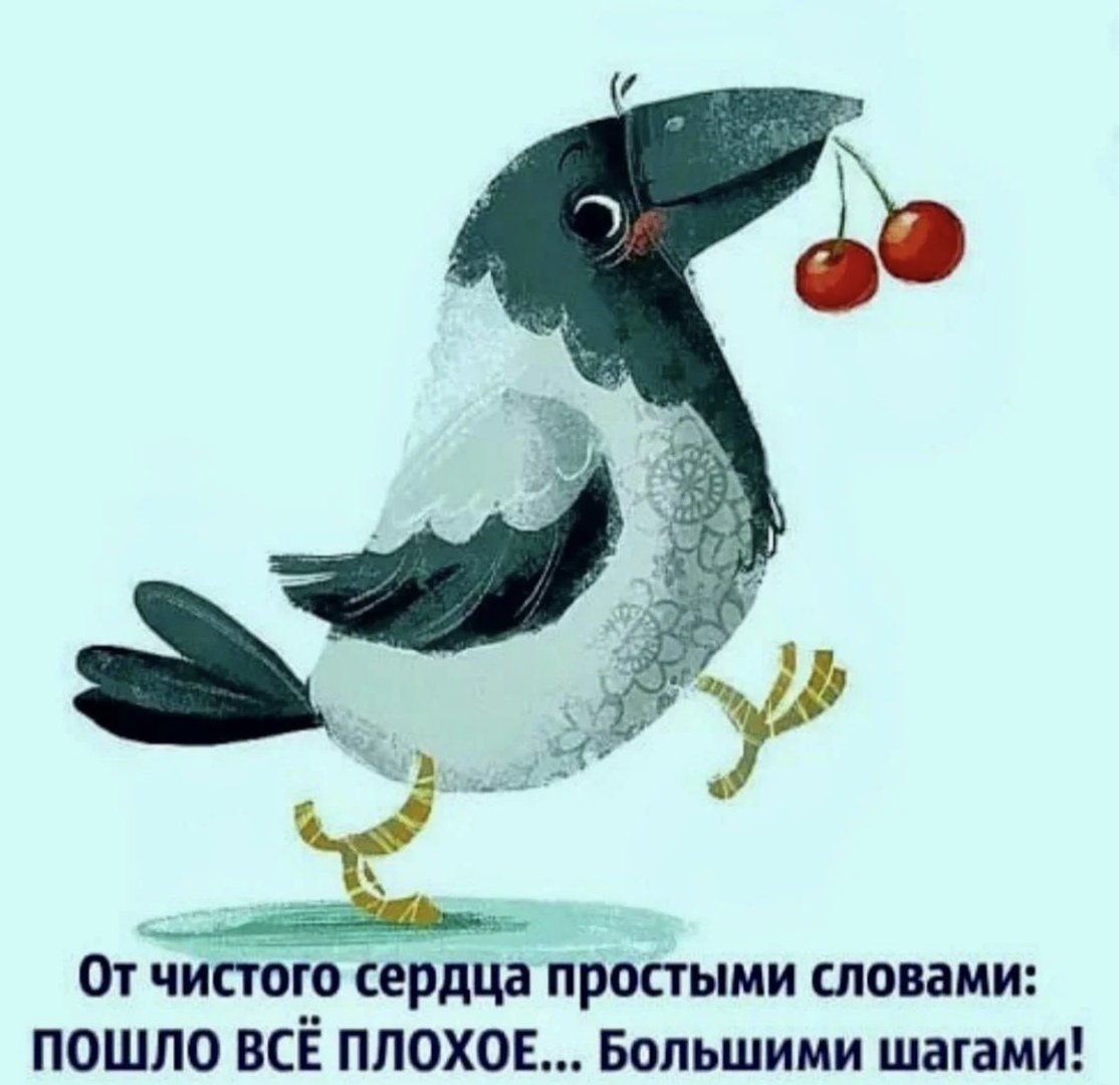 Хорошего дня птицы