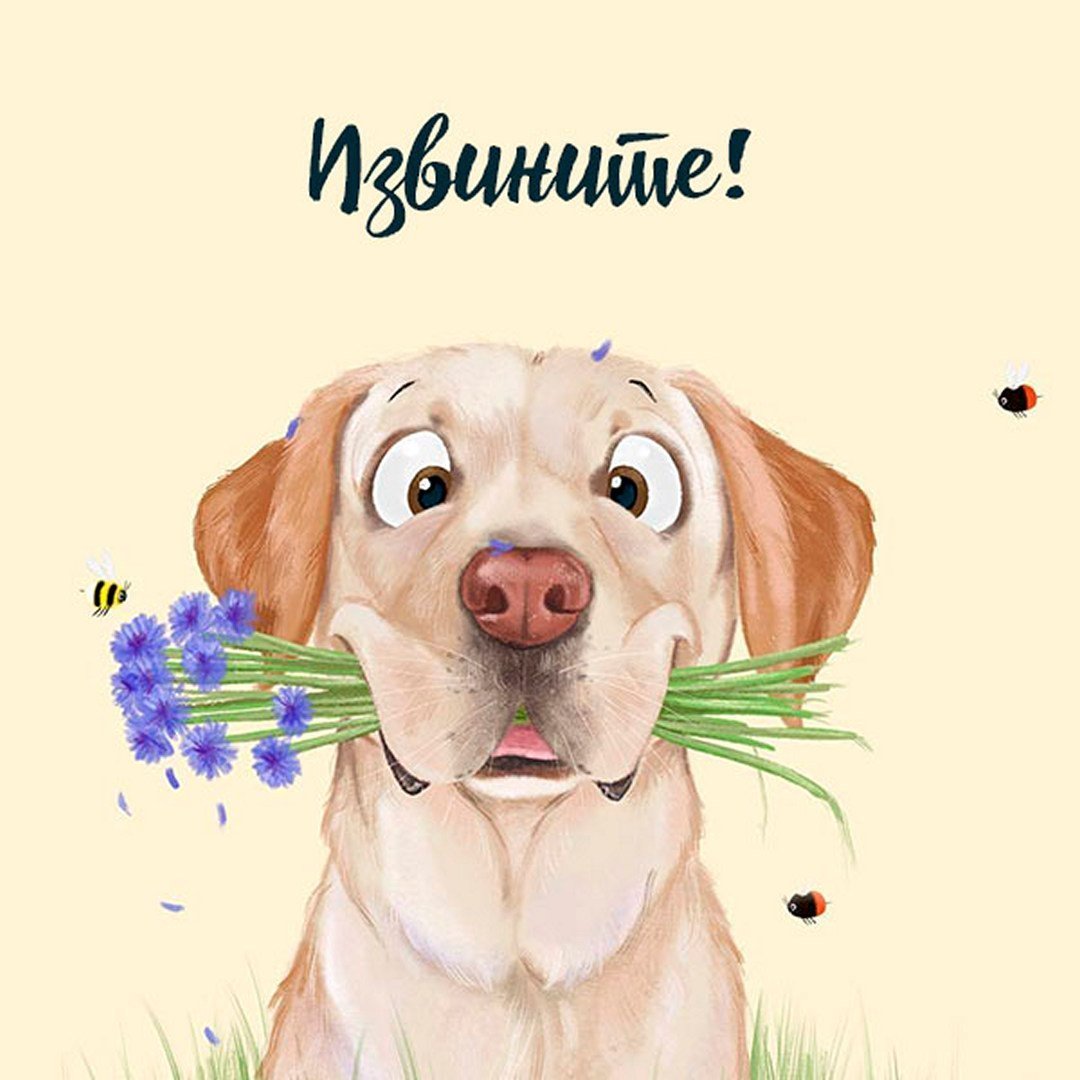 Открытка "собаки"