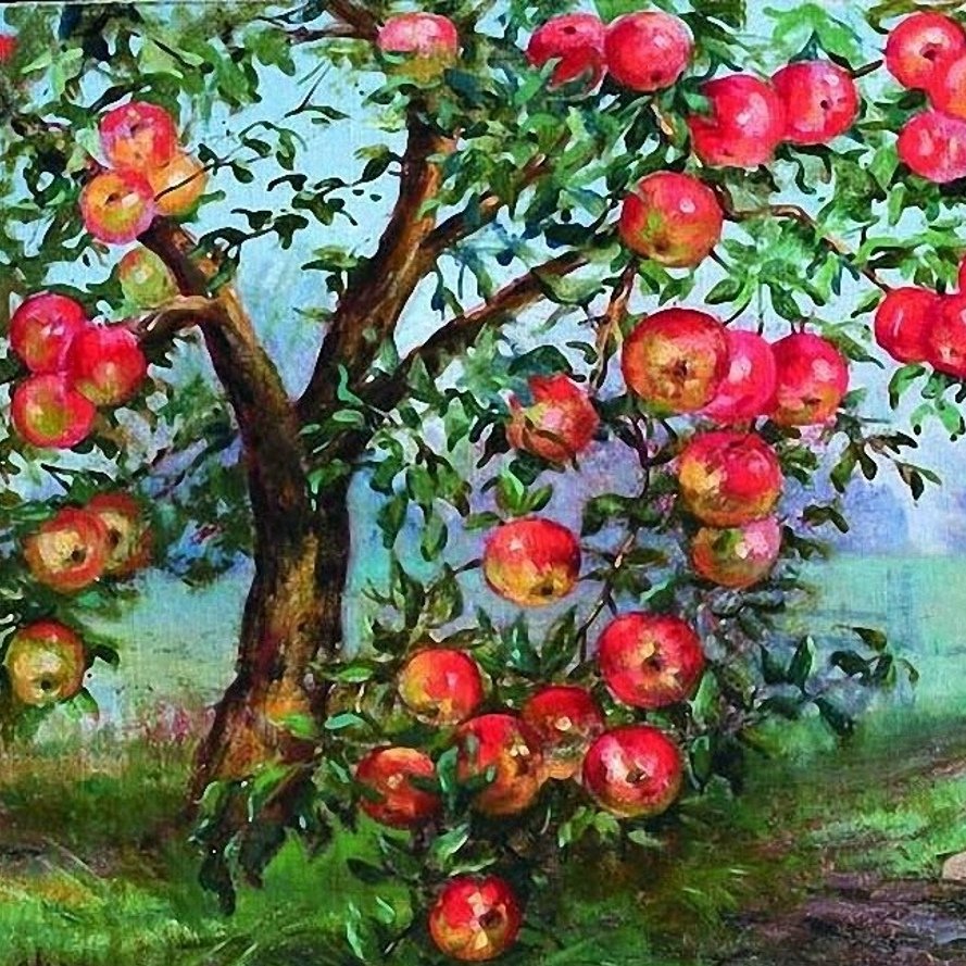 Фотообои яблоня с яблоками