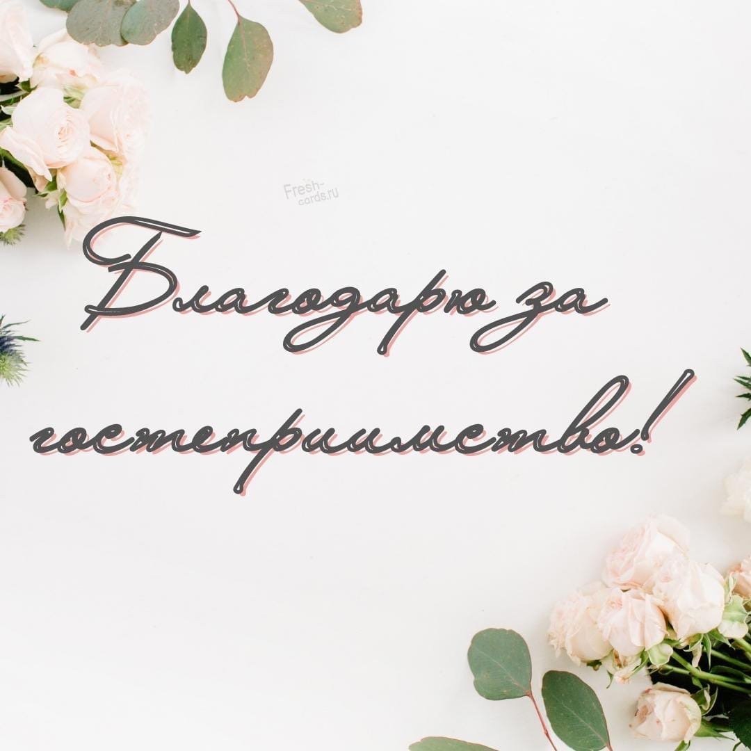 До новых встреч