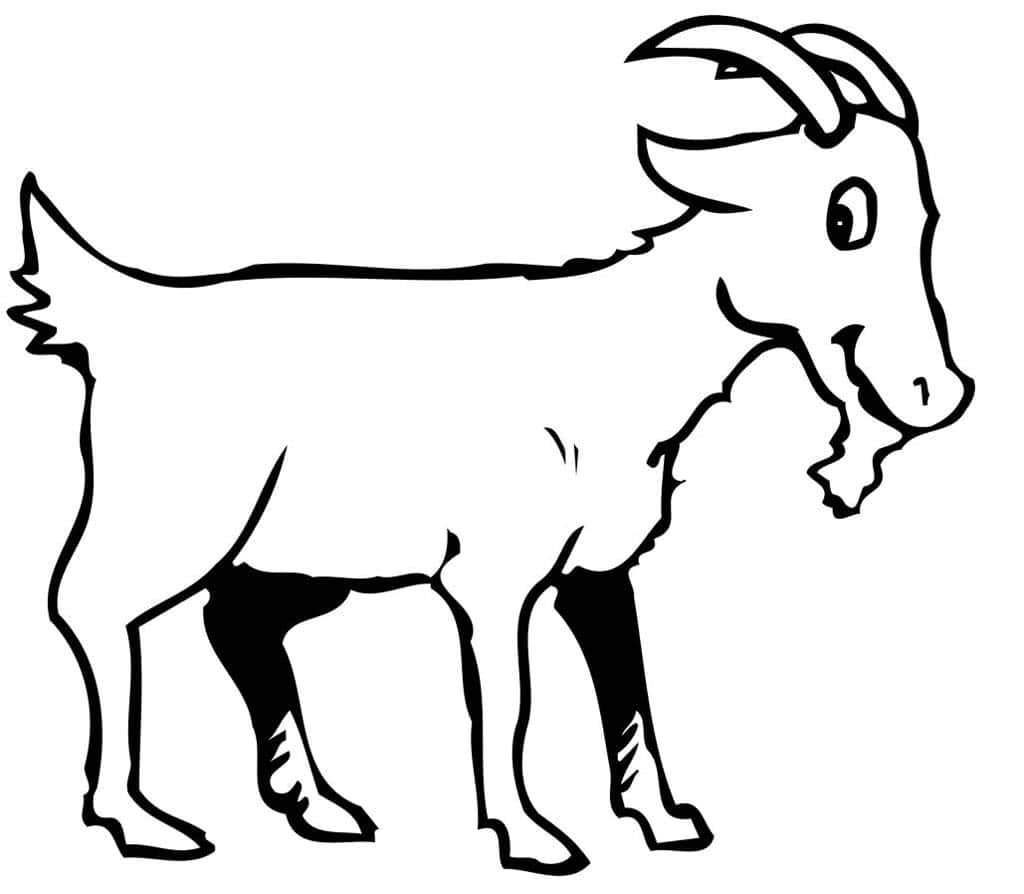 Домашние любимцы. Раскраска