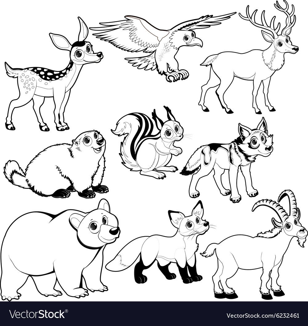 Раскраска корова