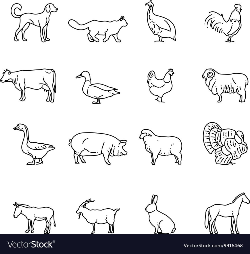 Домашние животные черно белые картинки
