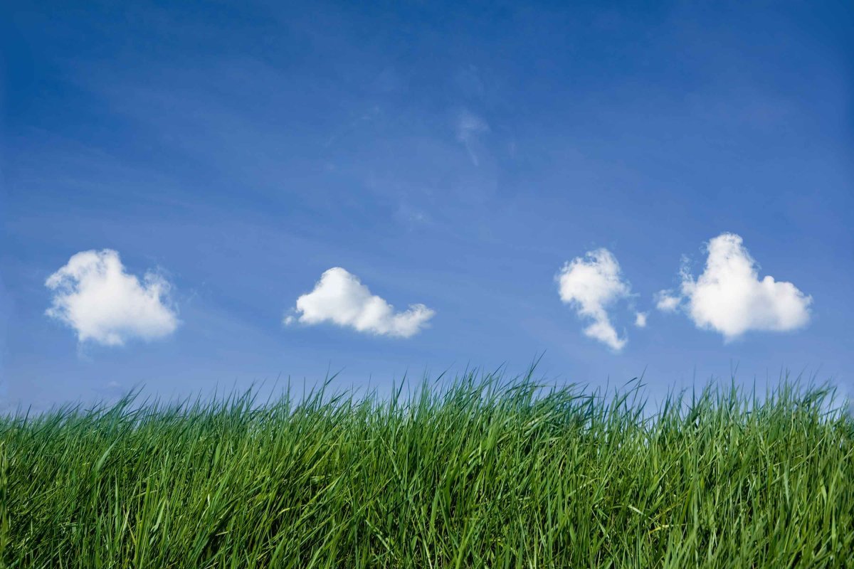 Природа чистый воздух