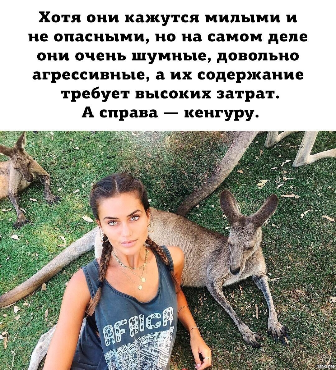 Фото прикол девушка и кенгуру