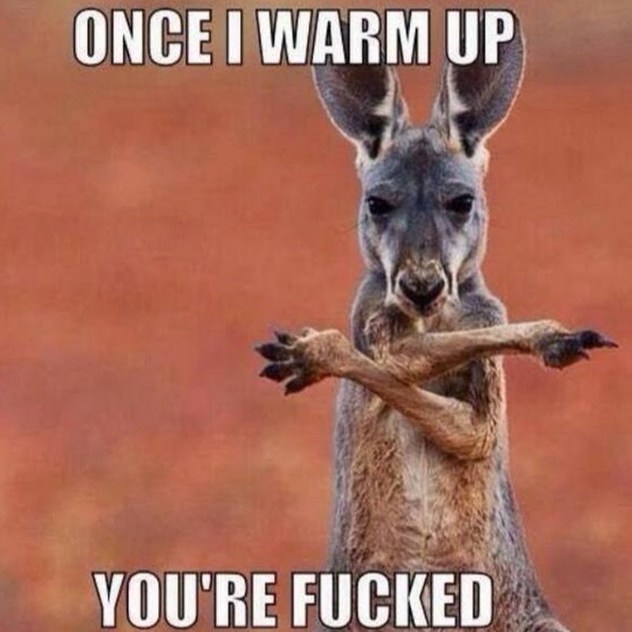 Кенгуру Мем