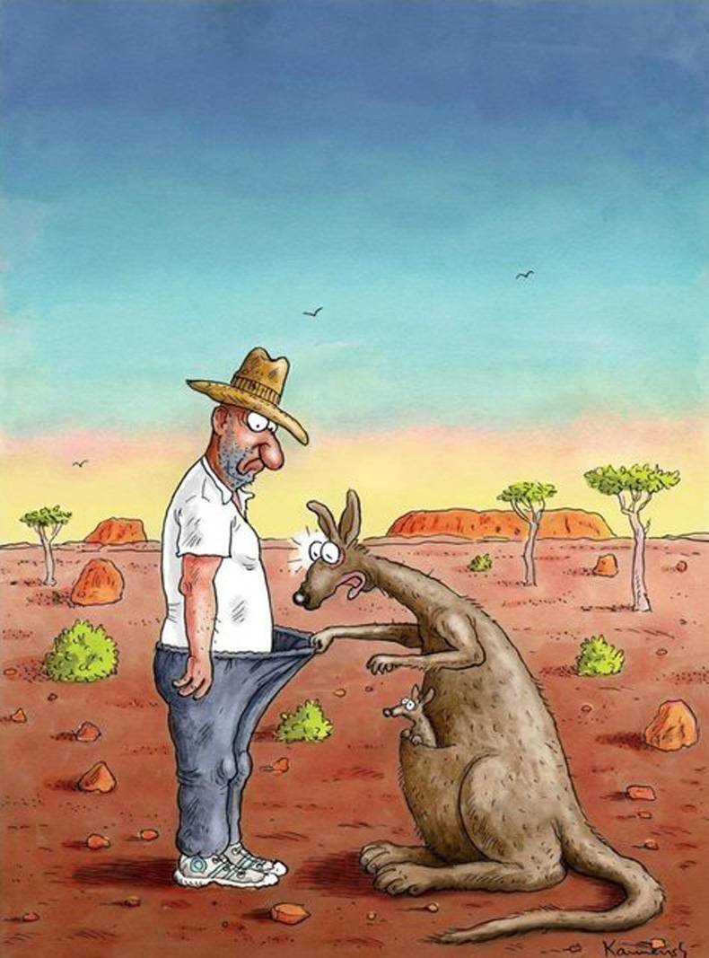 Кенгуру в окне