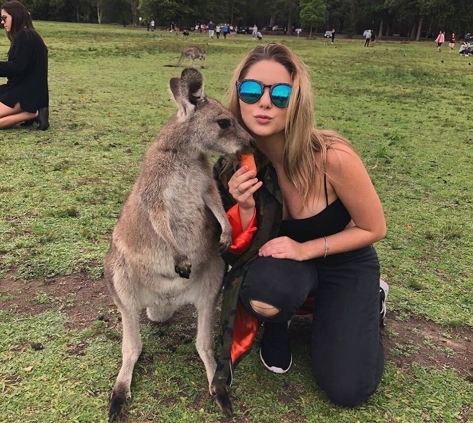 Милые кенгуру