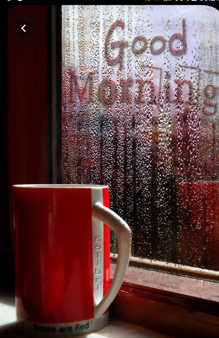 Осень на подоконнике