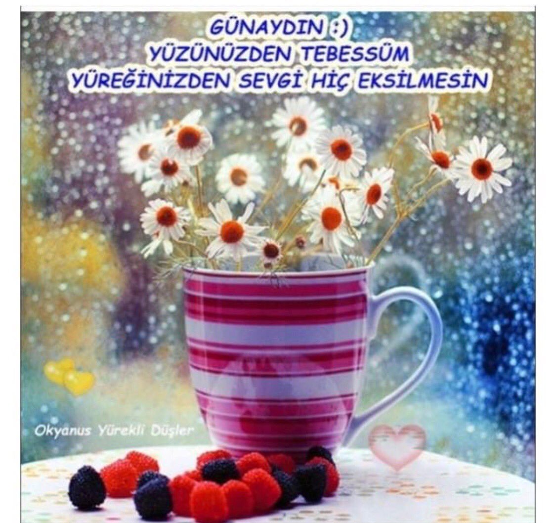 Диана Лапшина иллюстрации