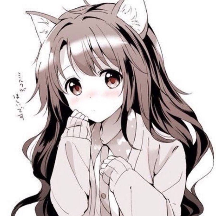 Аниме девушки кошки