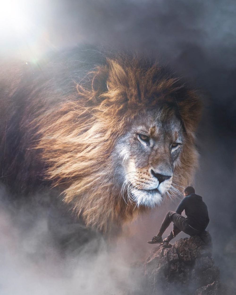 Под защитой Льва