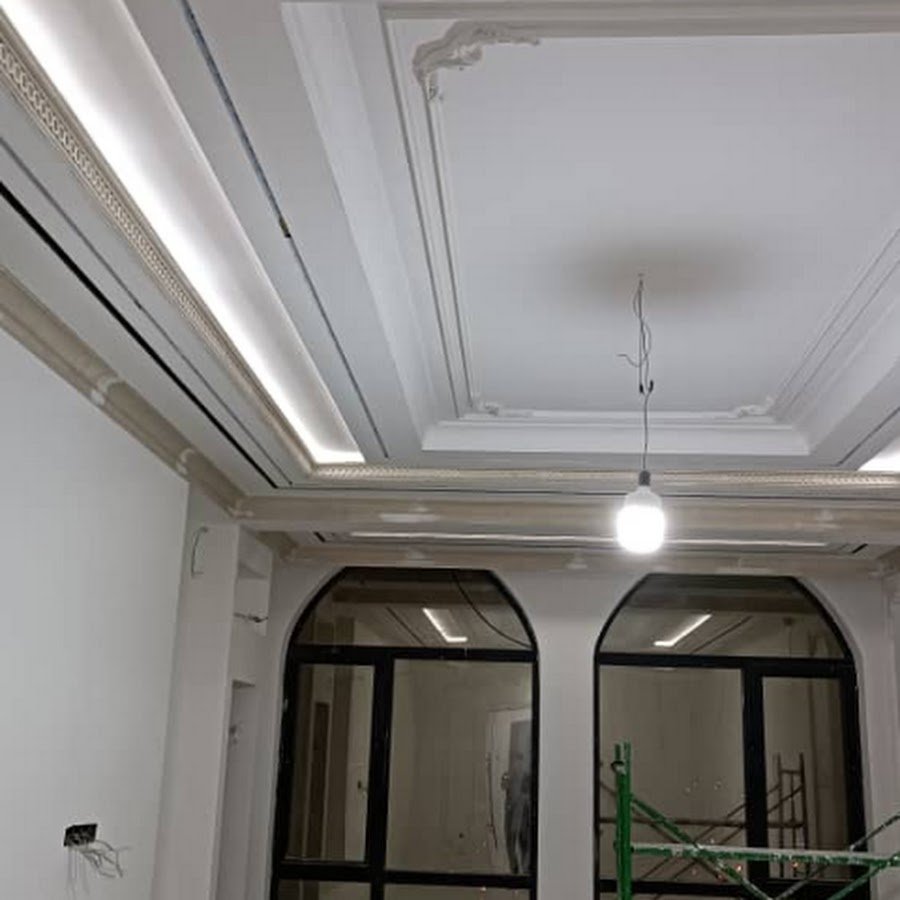 Лев и львица чб