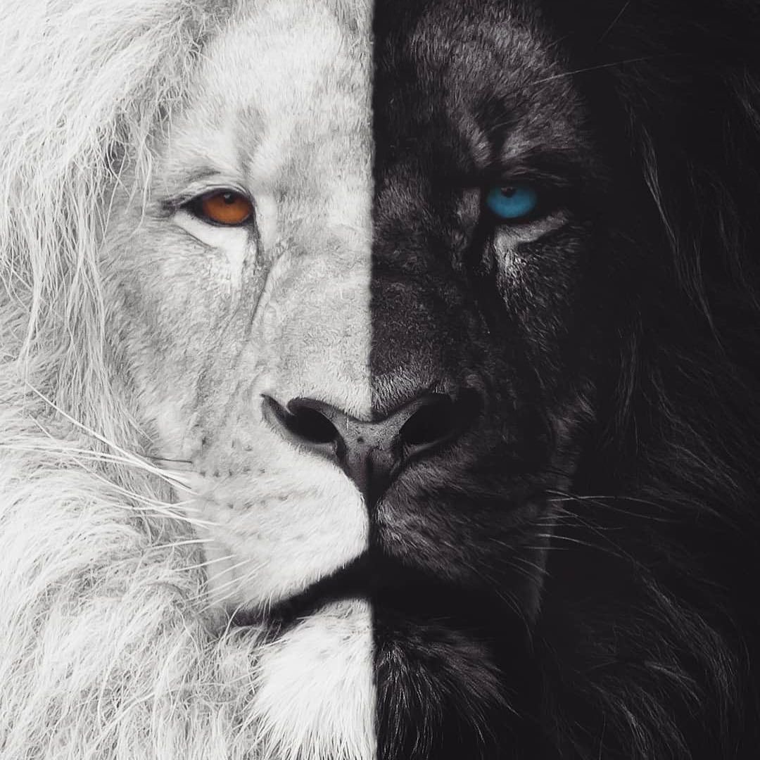 Креативный Лев