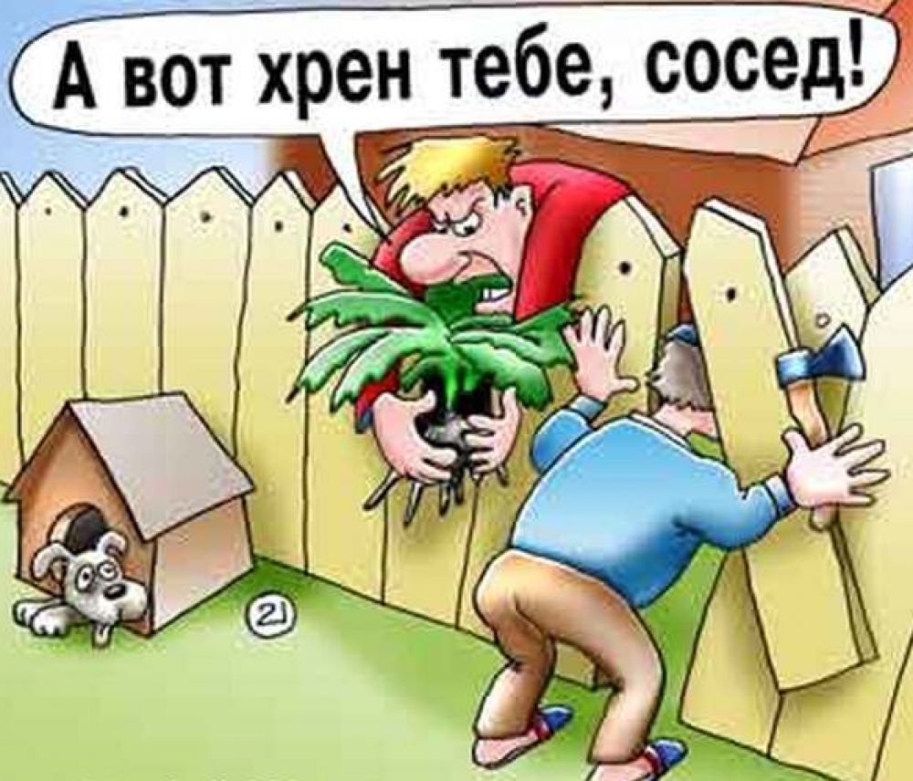 Соседи прикольные