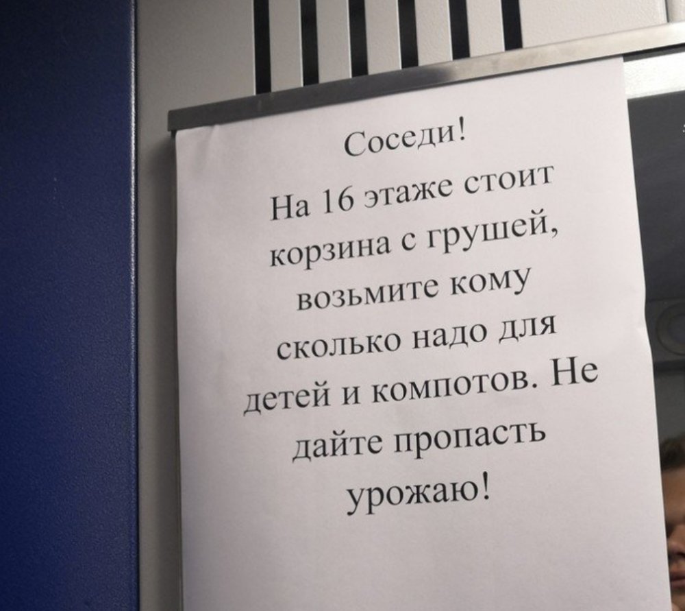 Шутки про соседей