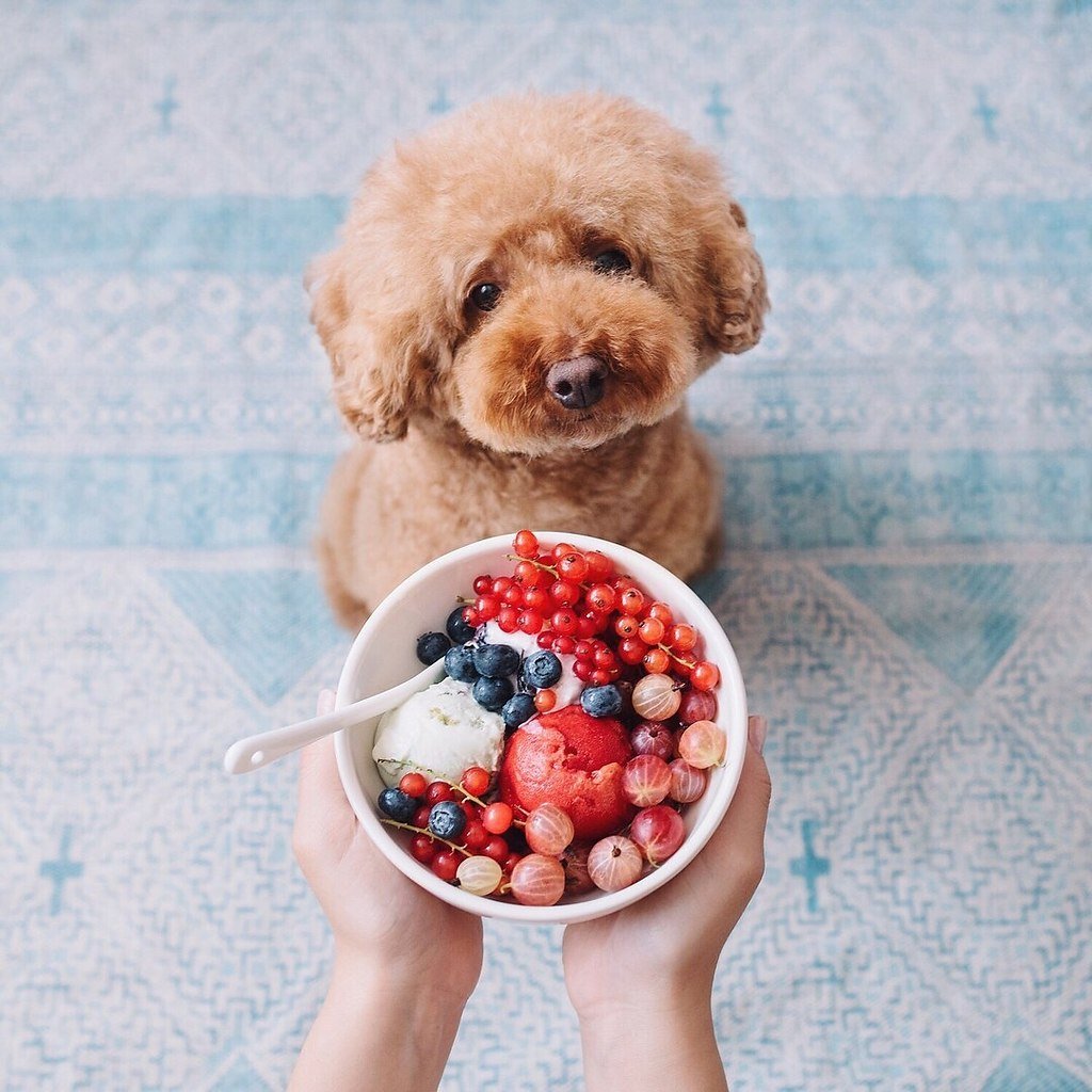 С субботой прикольные