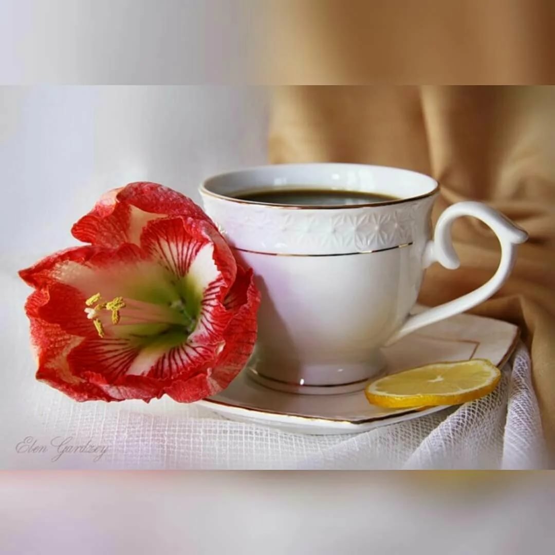 Открытки с добрым утром пятницы