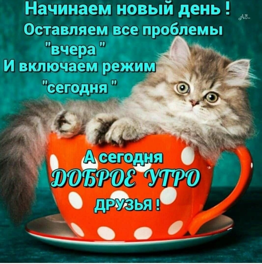 Яркого вечера и настроения