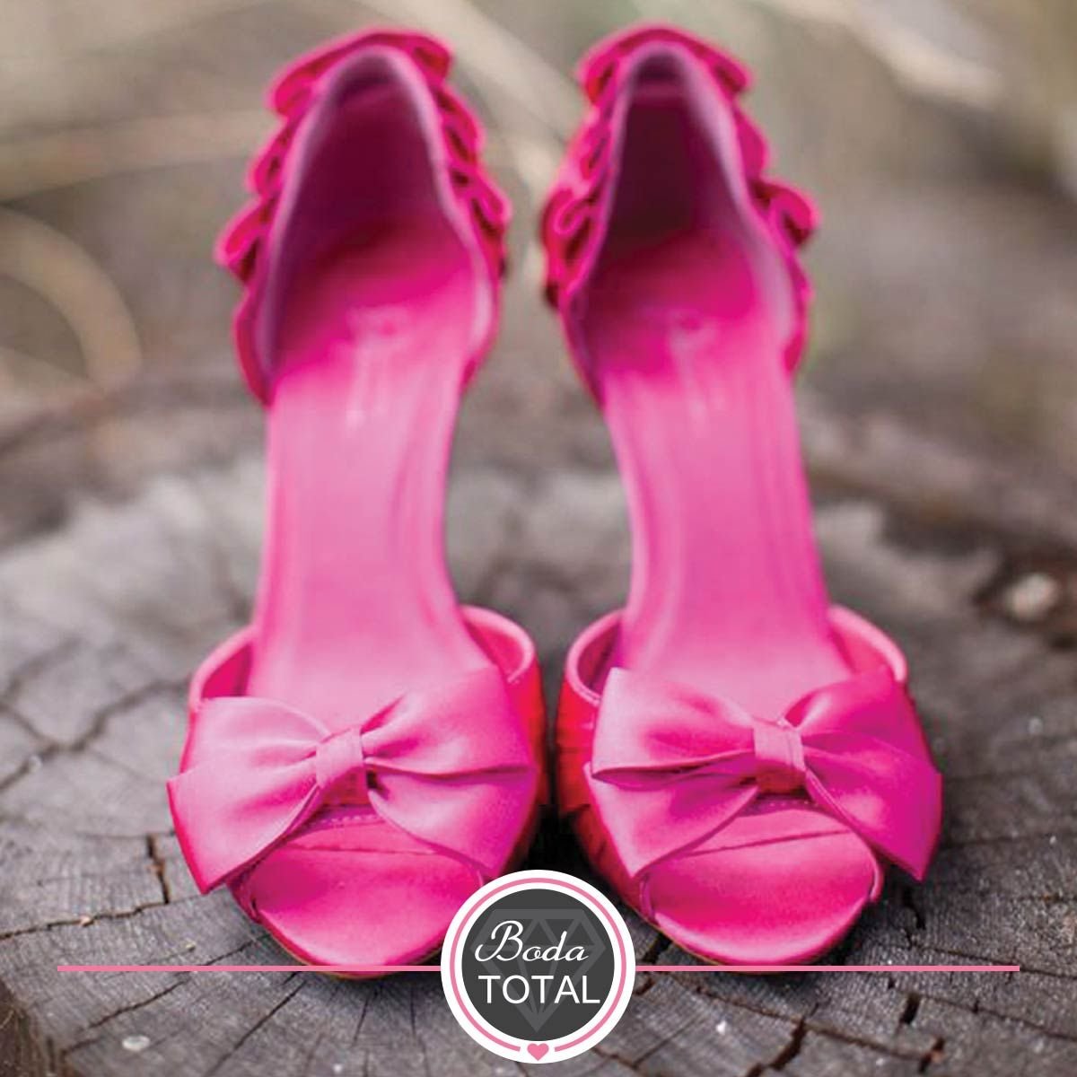 Фуксия магелланская (сорт 'Madame Cornelissen')