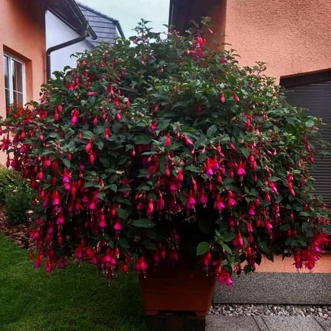 Flat lay Палитры