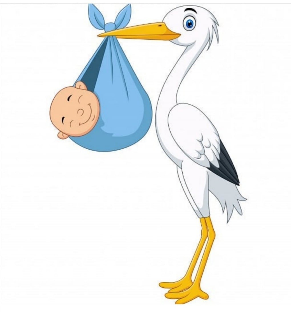 Аист с малышом рисунок