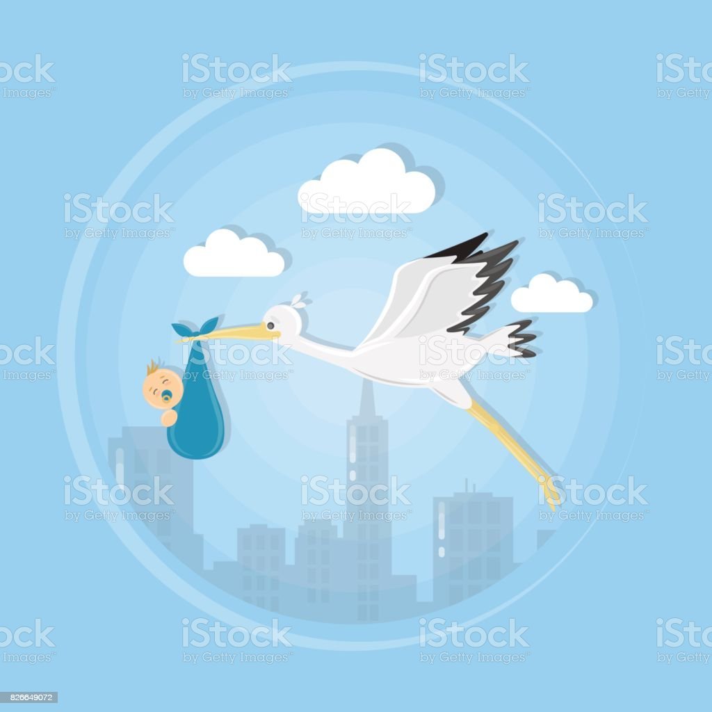 Аист в небе с малышом