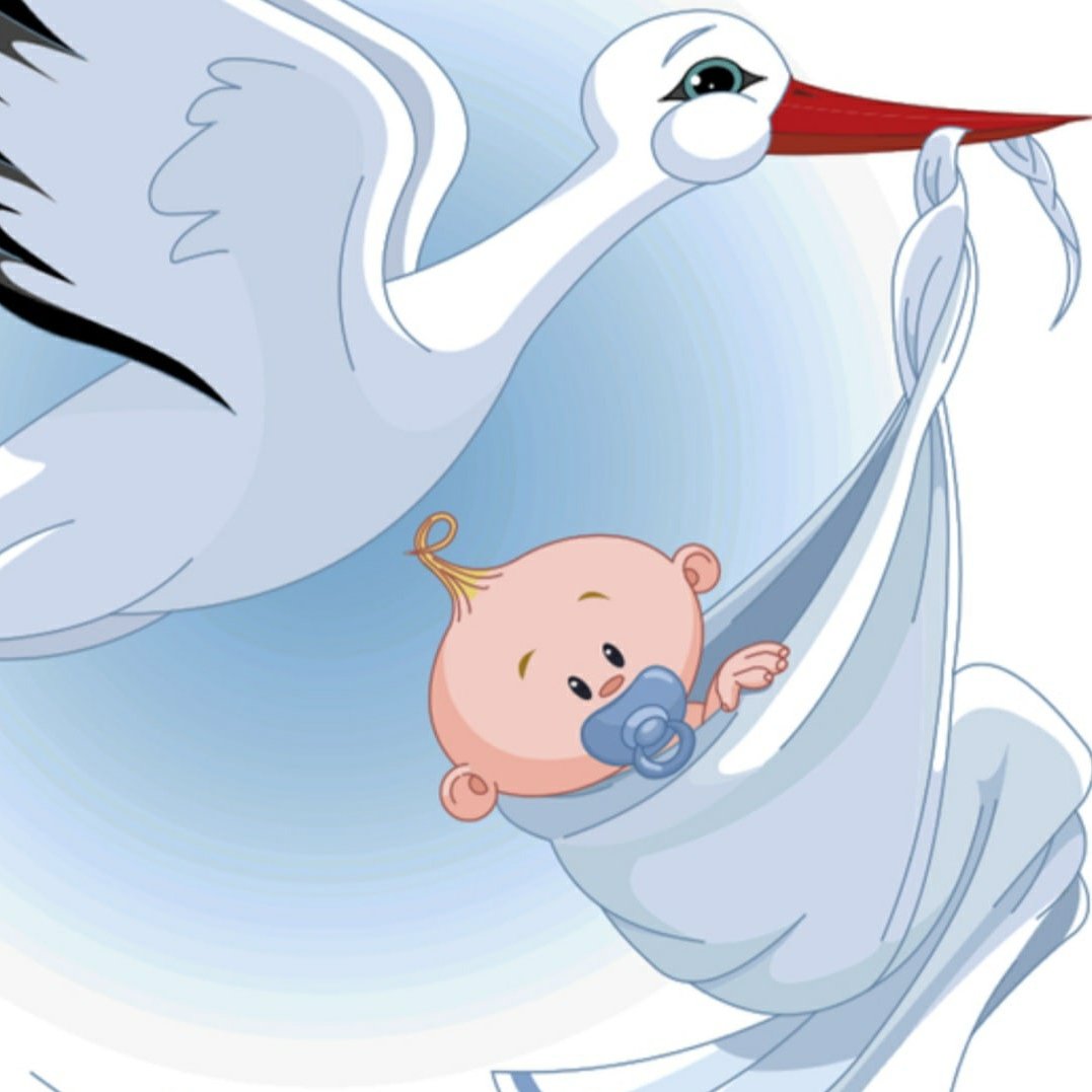 Аист с ребенком скоро буду