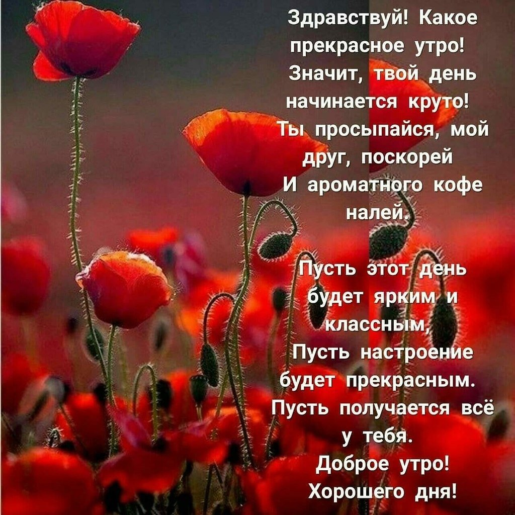 Здравствуй новый день стихи