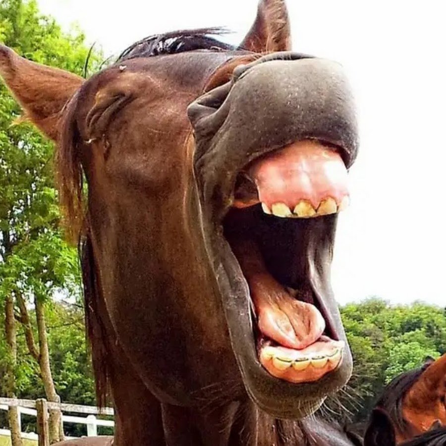 Цитаты про улыбку