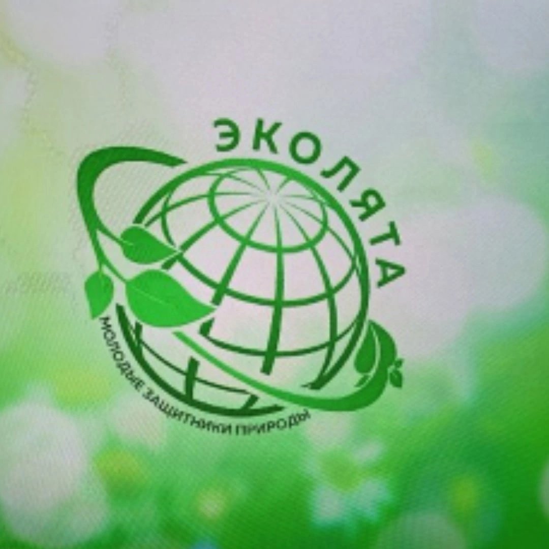 Эколята герои