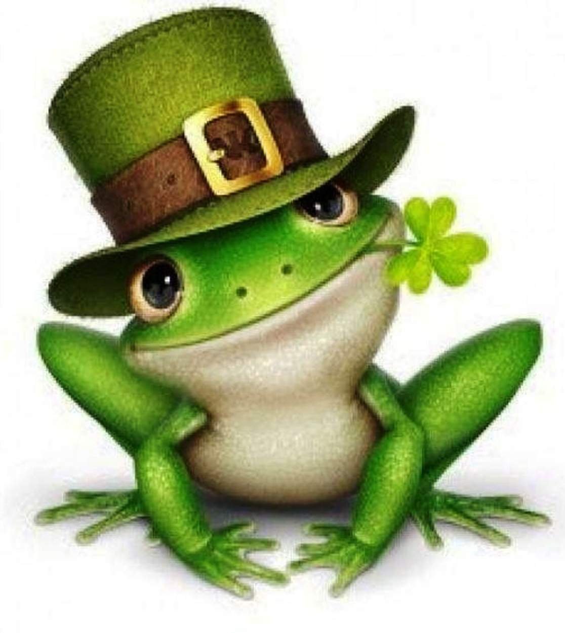 T-Shirt для РОБЛОКС Frog