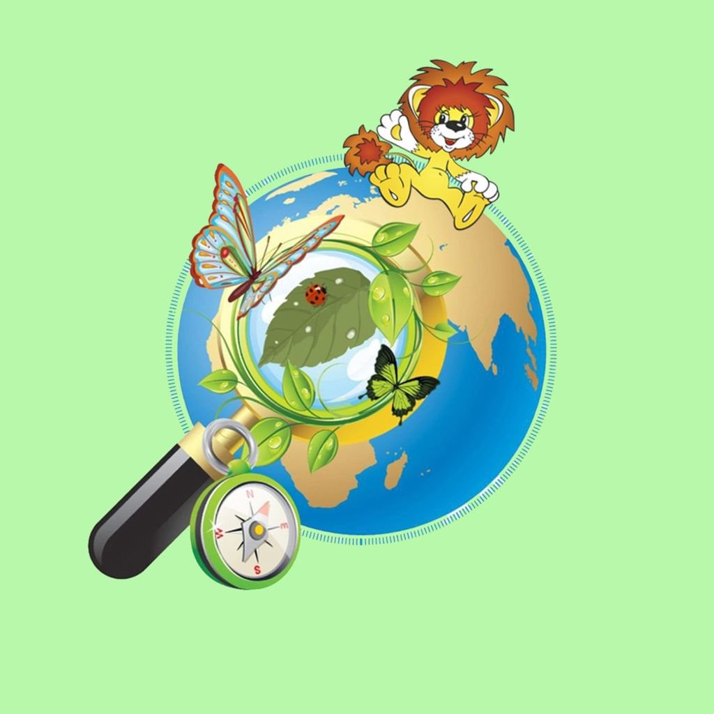 Знаток окружающего мира