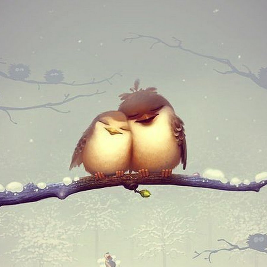 Хочется заботы и тепла