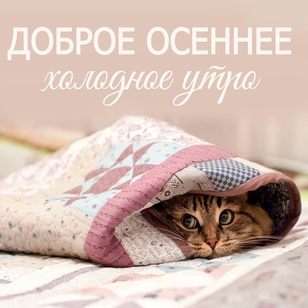 Доброе утро холодно