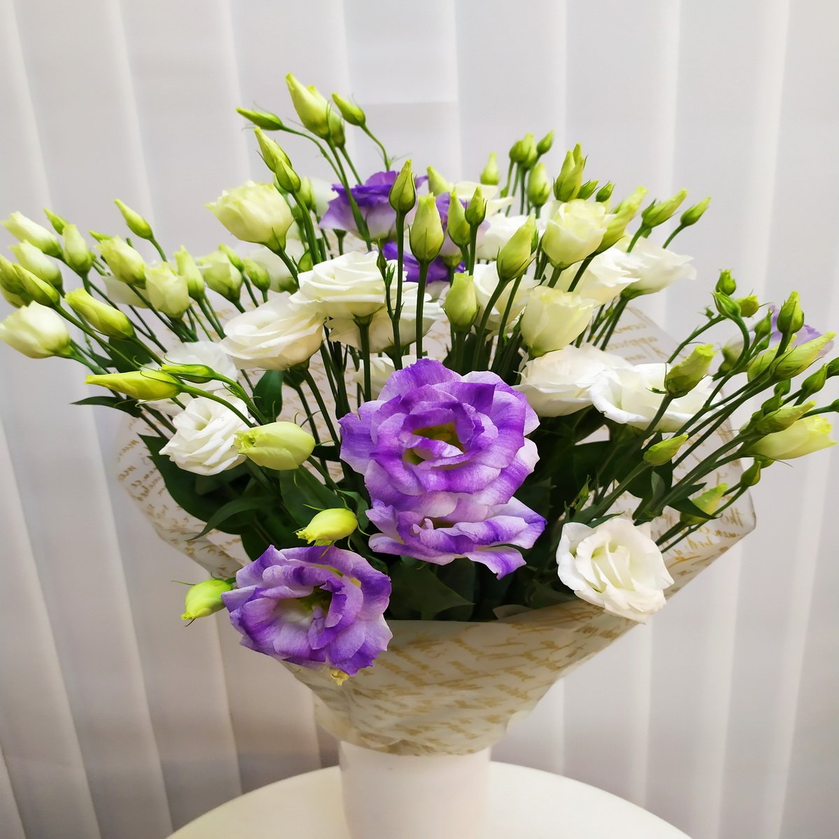 Эустома Богема микс