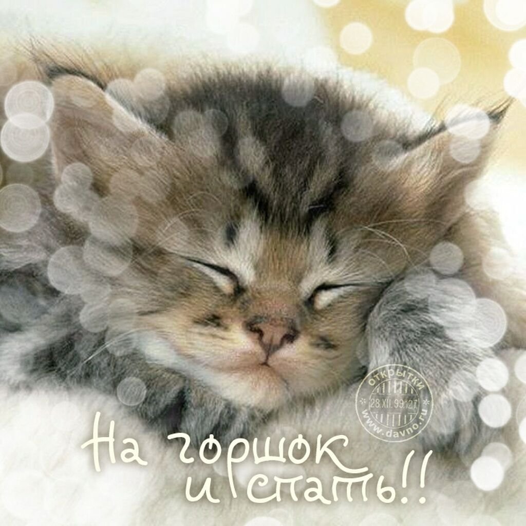 Стикеры спокойной ночи