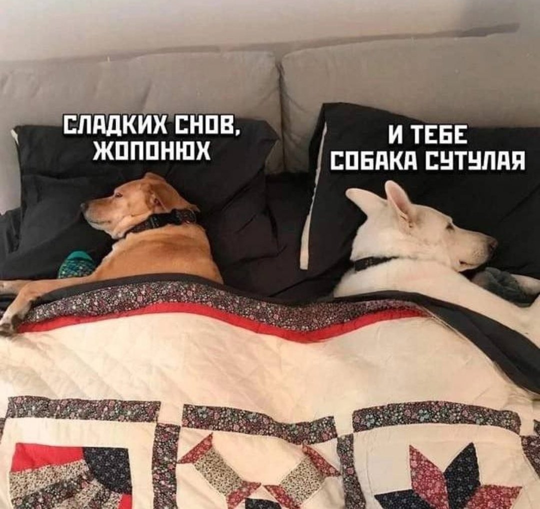 Сладких снов любимая