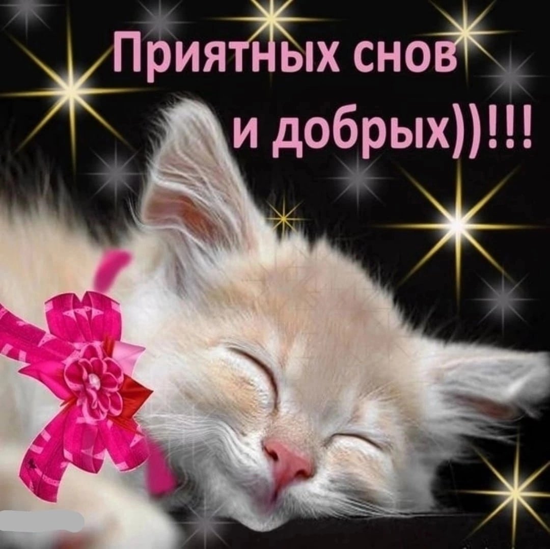 Споки ноки сладких снов