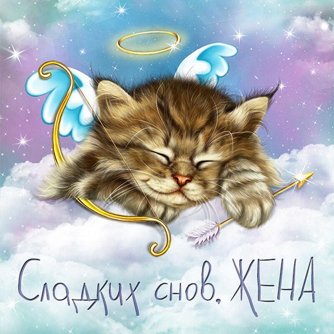 Спокойной ночи, Медвежонок!