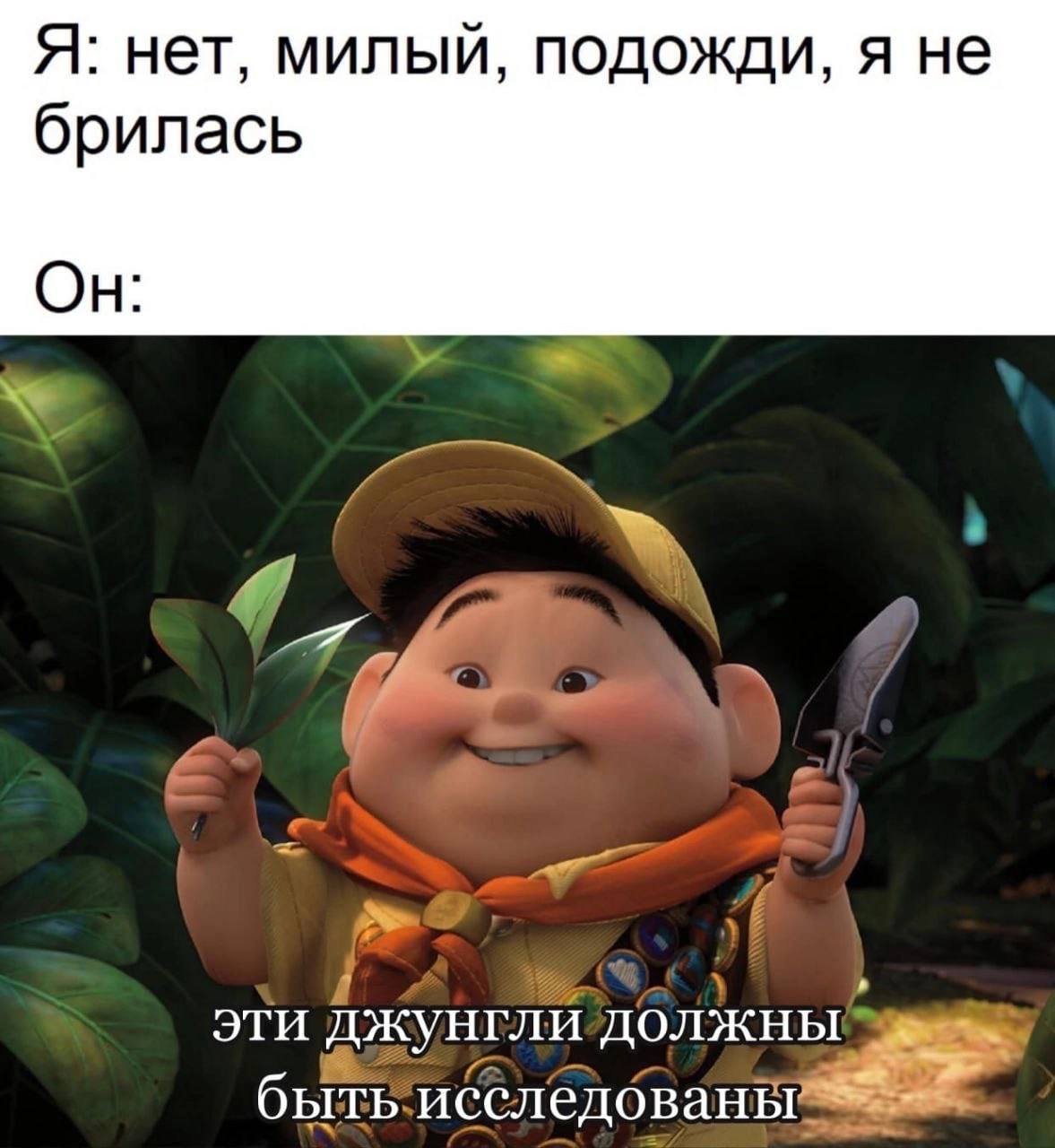 Джунгли зовут Псков Империал