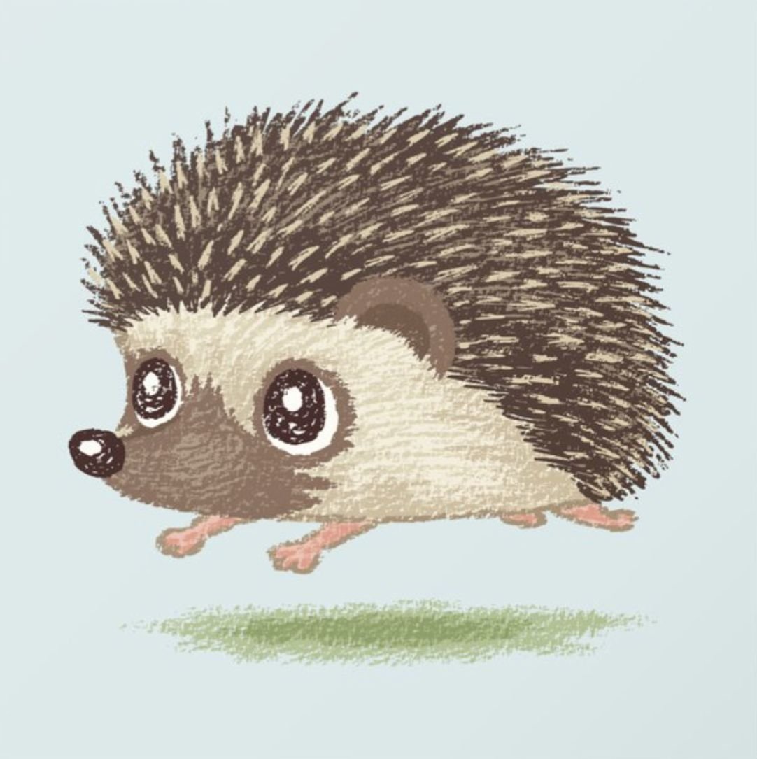 Ежики с рисом