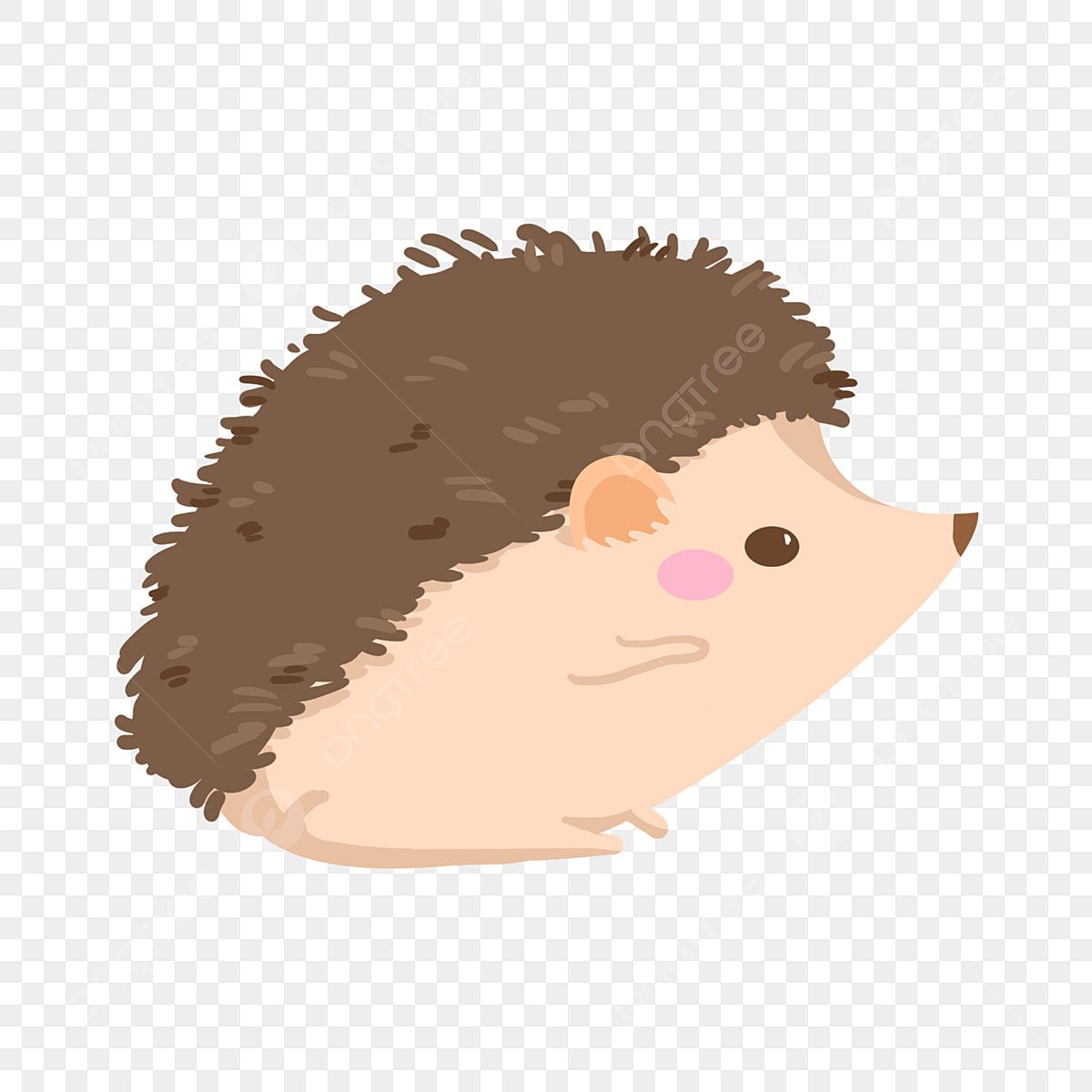 Ежик вектор