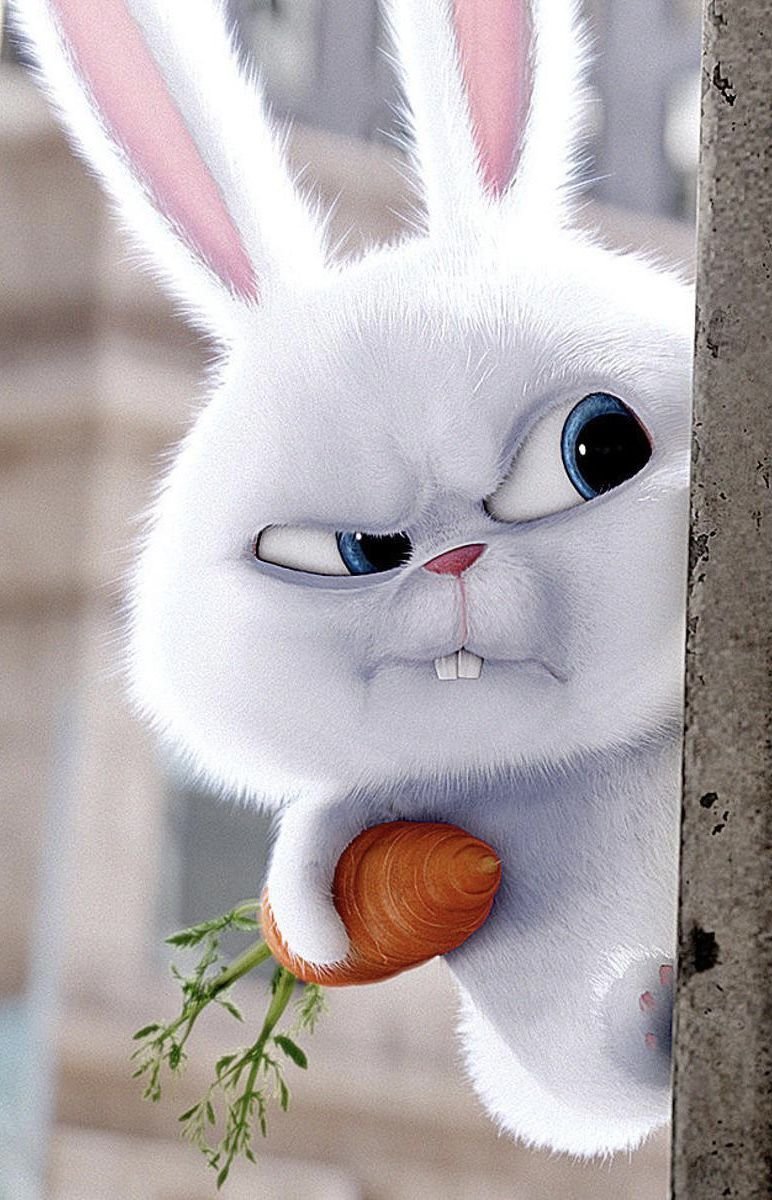 Тайная жизнь домашних животных заяц злой