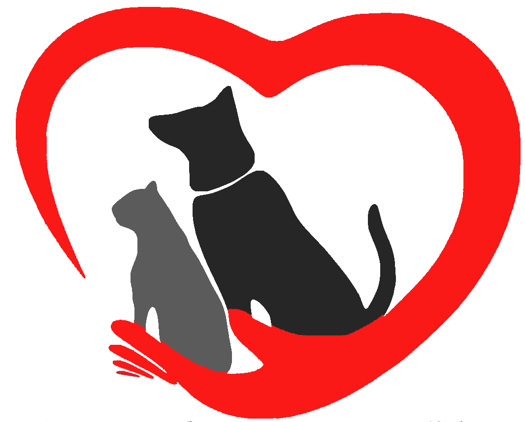 Всемирный день животных