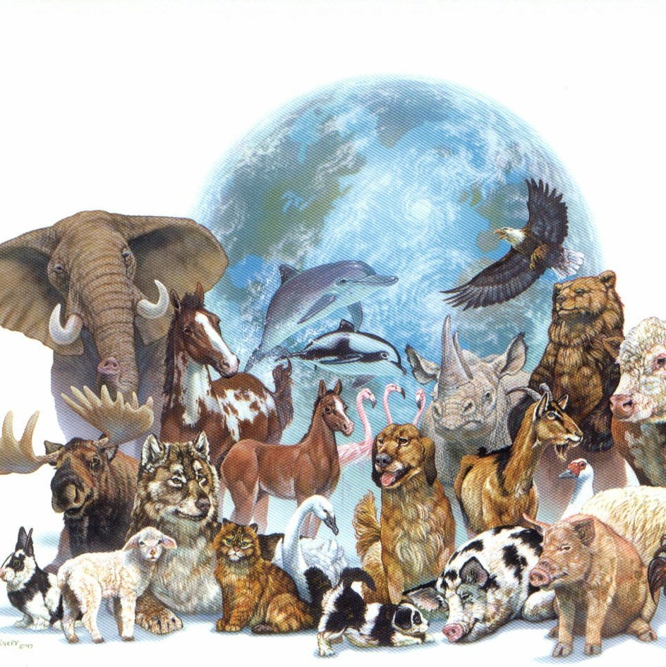 День защиты животных